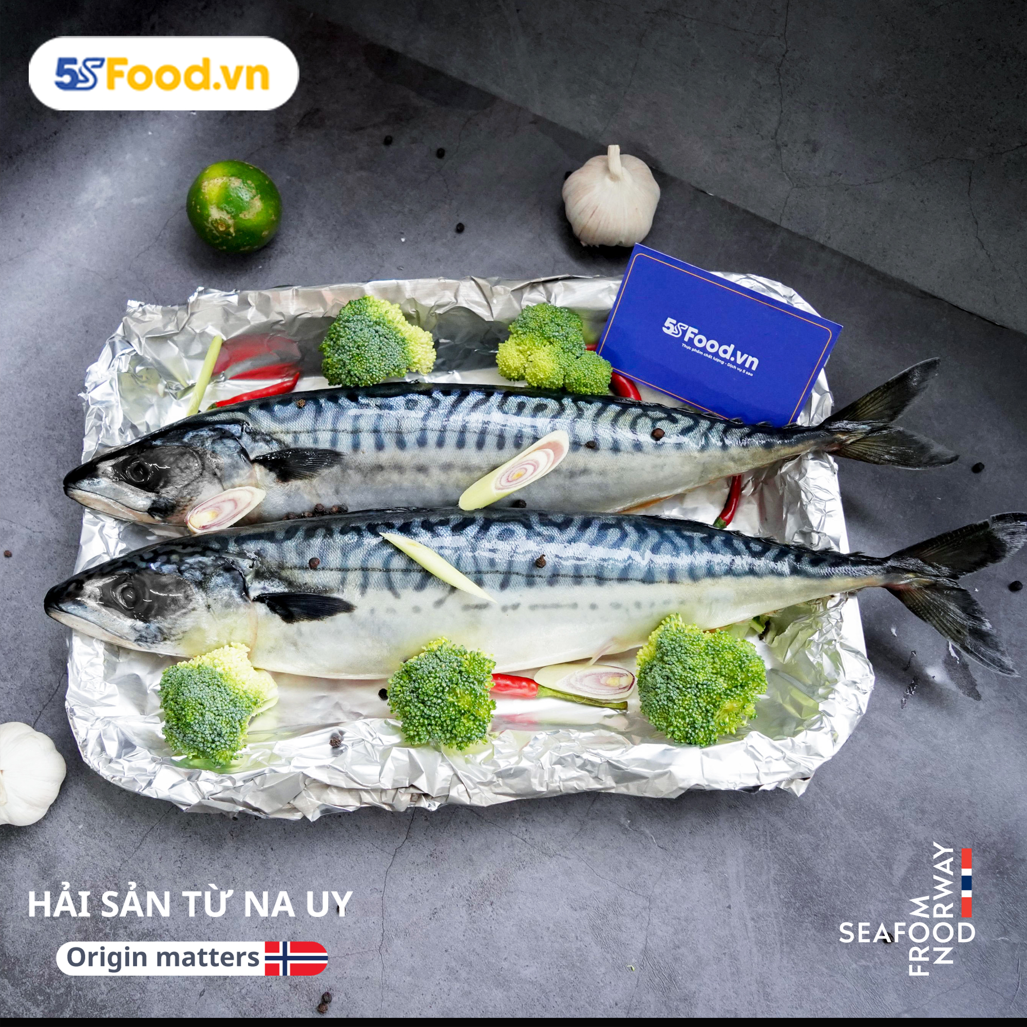 Cá Nục hoa Na Uy nguyên con